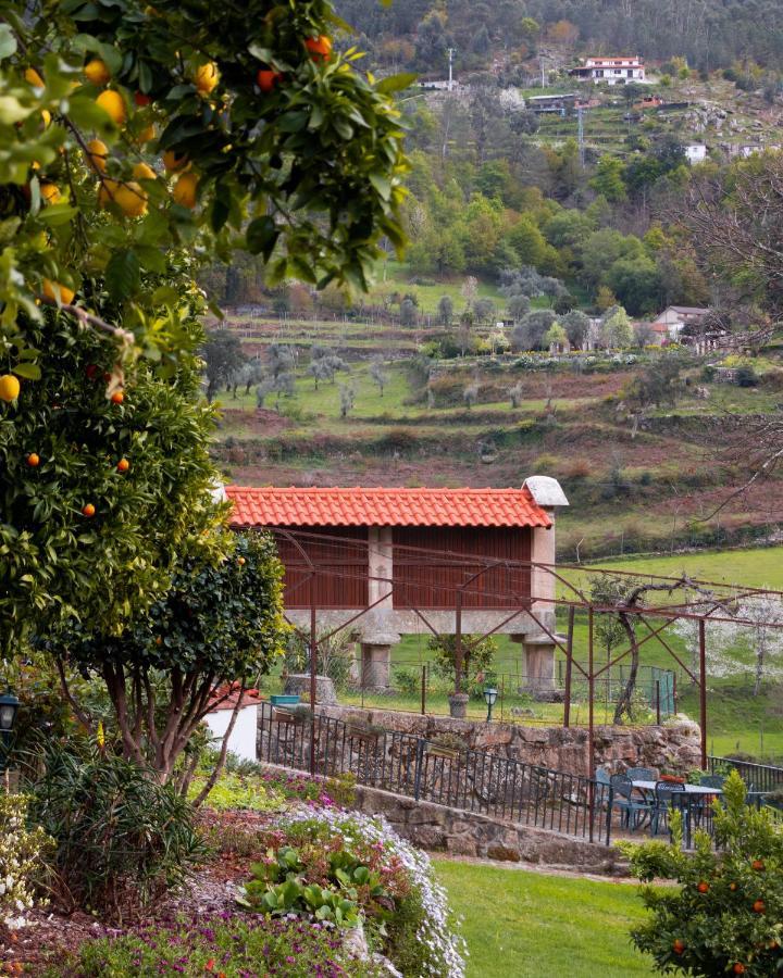 Quinta Do Tapadinho - Wine & Tourism Villa Moimenta Eksteriør bilde