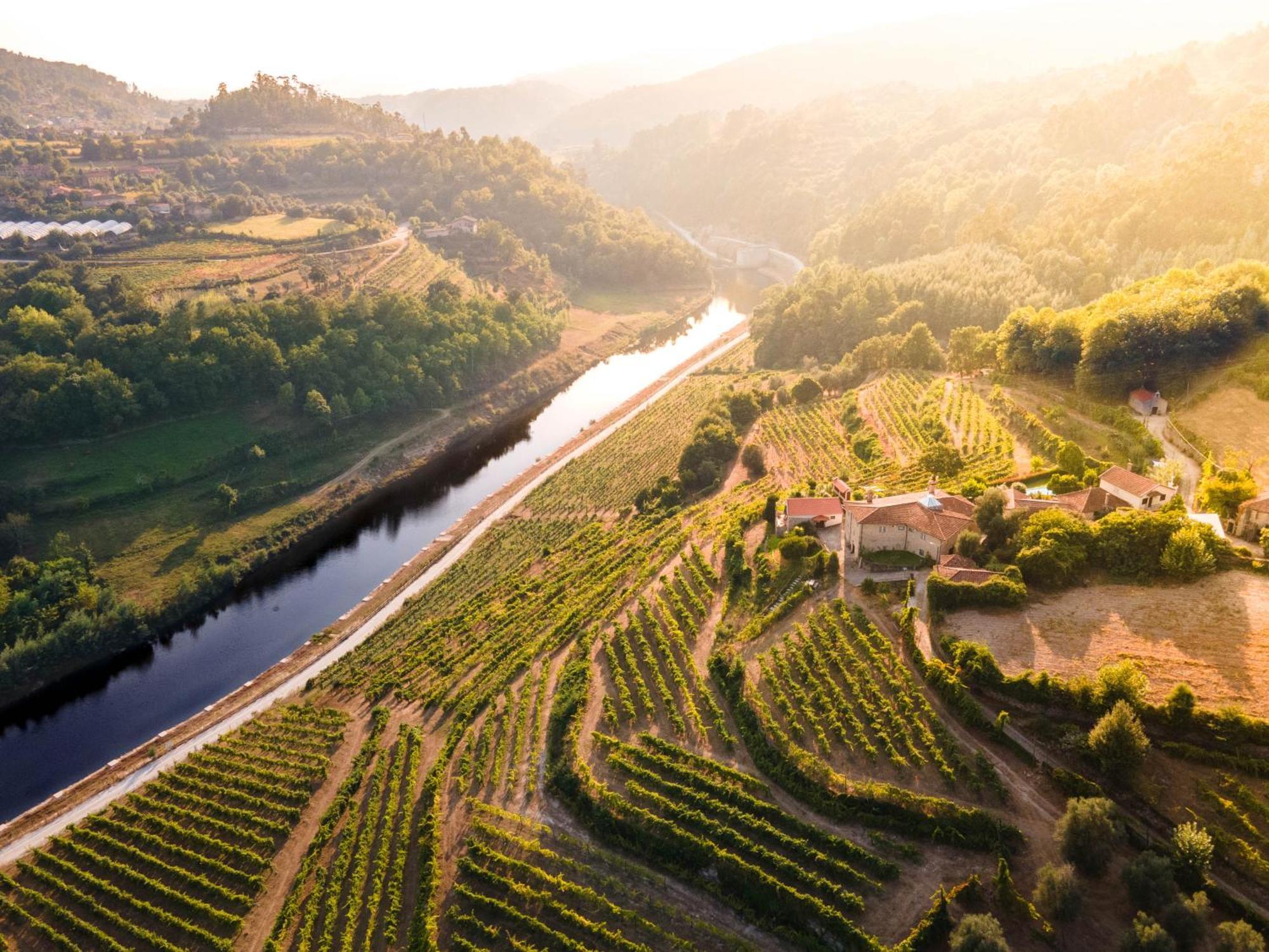 Quinta Do Tapadinho - Wine & Tourism Villa Moimenta Eksteriør bilde